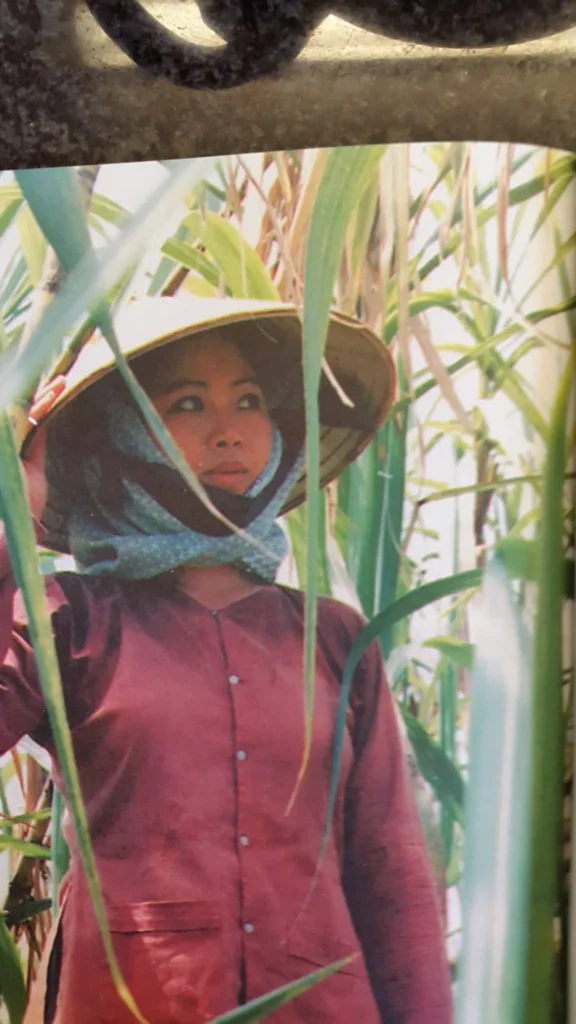 Chiếu phim “Thương nhớ đồng quê” và giao lưu với đạo diễn Đặng Nhật Minh