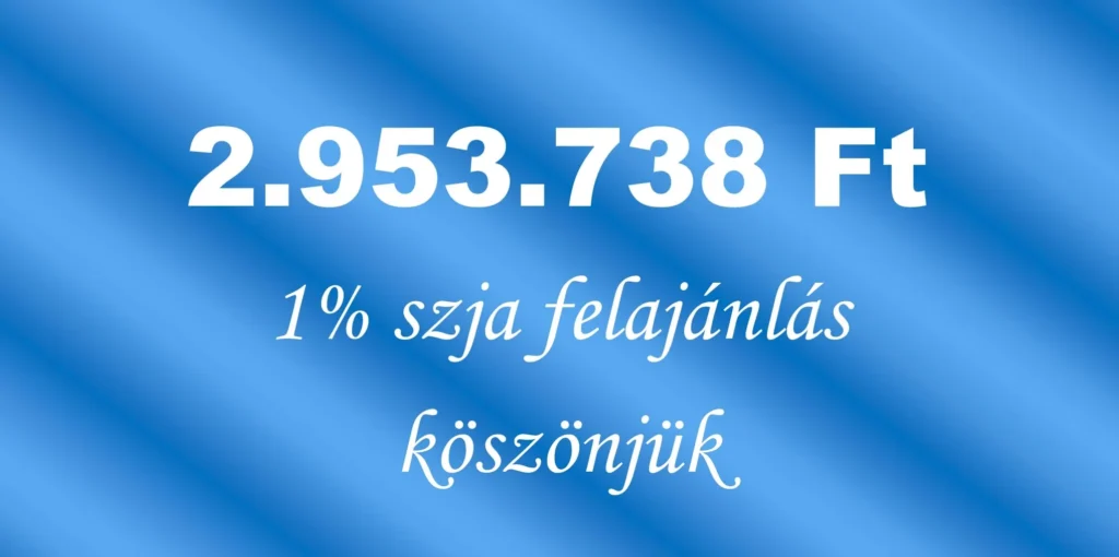 2.953.738 Ft là số tiền NAV thông báo Hiệp hội sẽ nhận được từ 1% thuế thu nhập cá nhân được 1309 người tặng lại.