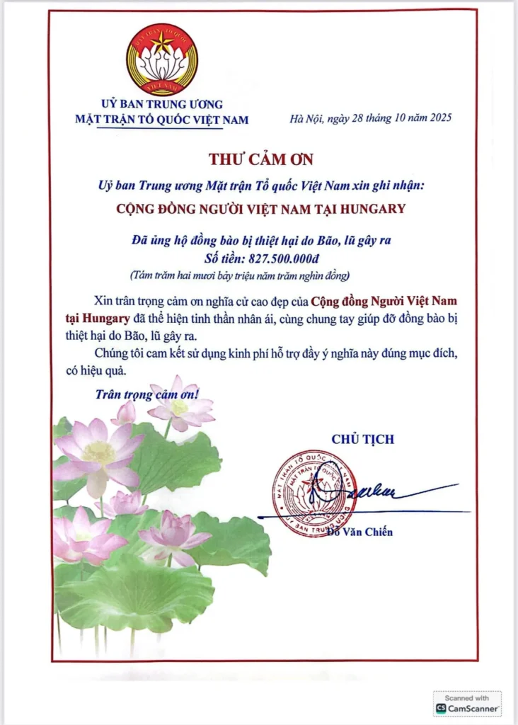 d33fe5f7cbc94a66b8f554f3