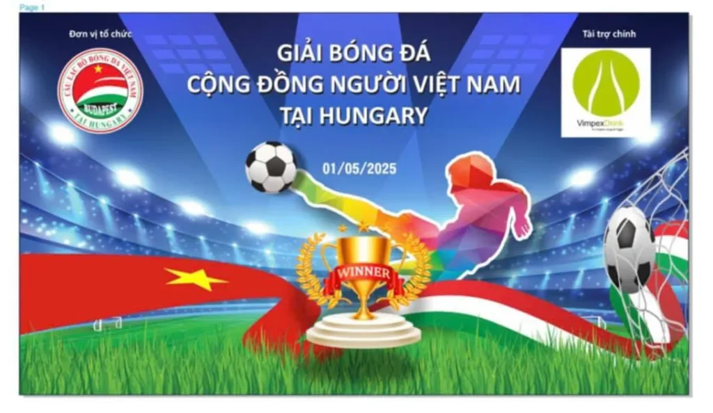 GIẢI BÓNG ĐÁ CỘNG ĐỒNG NGƯƠI VIỆT NAM TẠI HUNGARI NĂM 2025 GIẢI 11 NGƯỜI